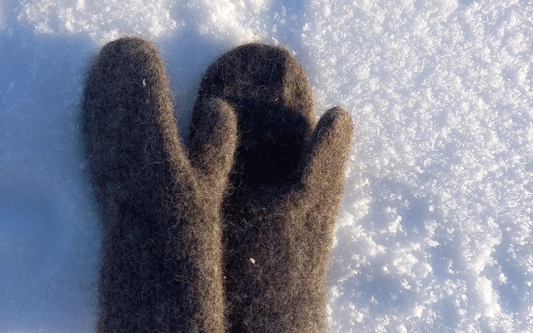 Tämän viikon pakkas ALE- varaston aikuisten lapaset -20%!