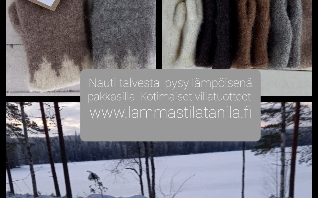 Ihana talvi ja lämmittävät lapaset ja villapohjalliset